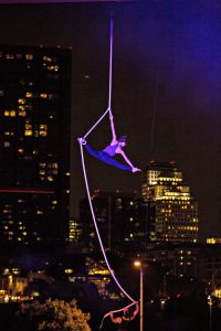 Arts Service/Non-Profit Arts Organizations
